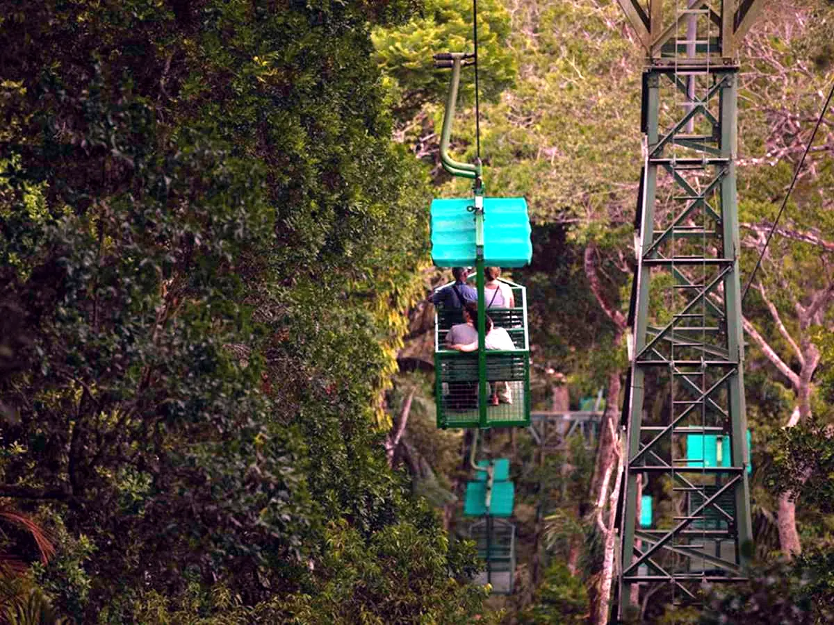 Teleférico en la selva de Gamboa, Panamá